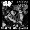 Werwolf / In Morte Sumus - Malleus Maleficarum Split CD